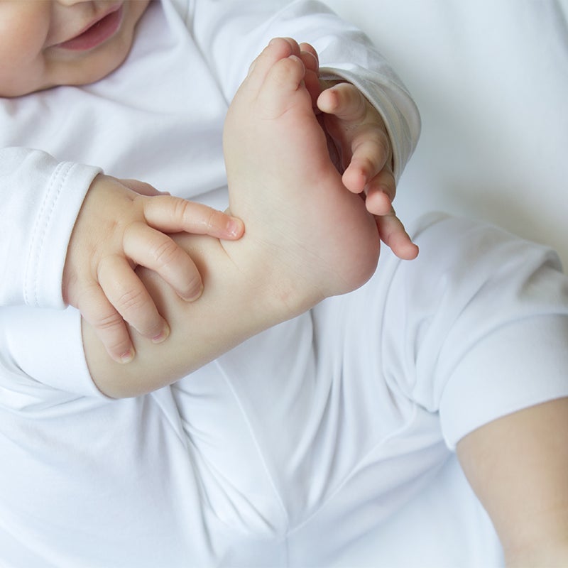 Classic Pants in Pima Cotton