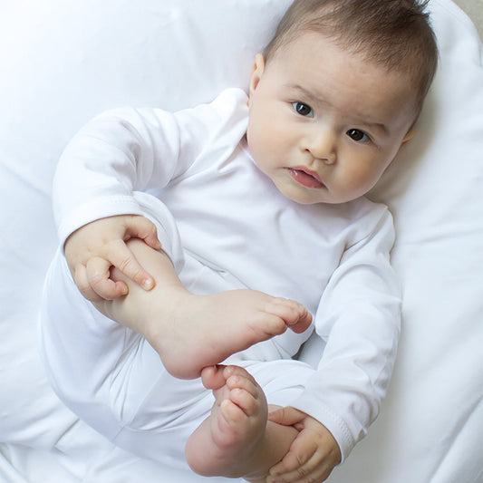 Blue - Classic Long Sleeve Shirt in Pima Cotton